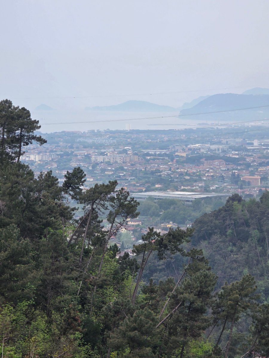 赞帕里娜庄园-旅行者