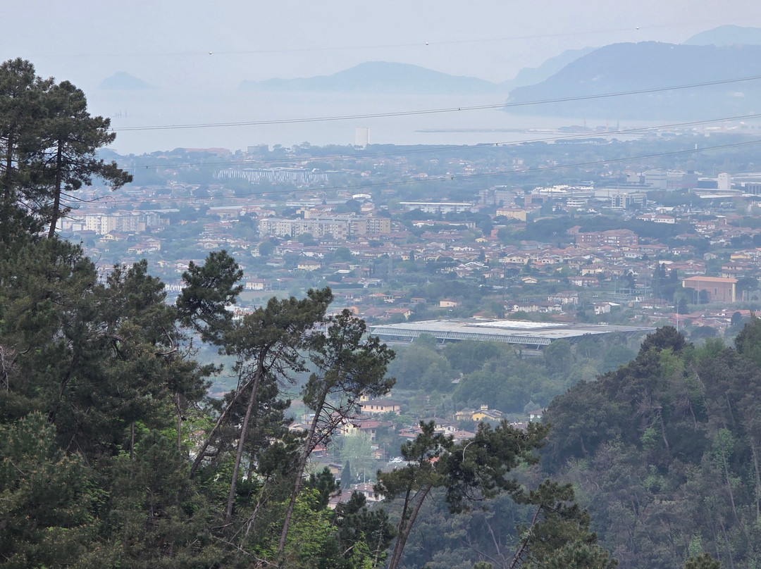 赞帕里娜庄园主图