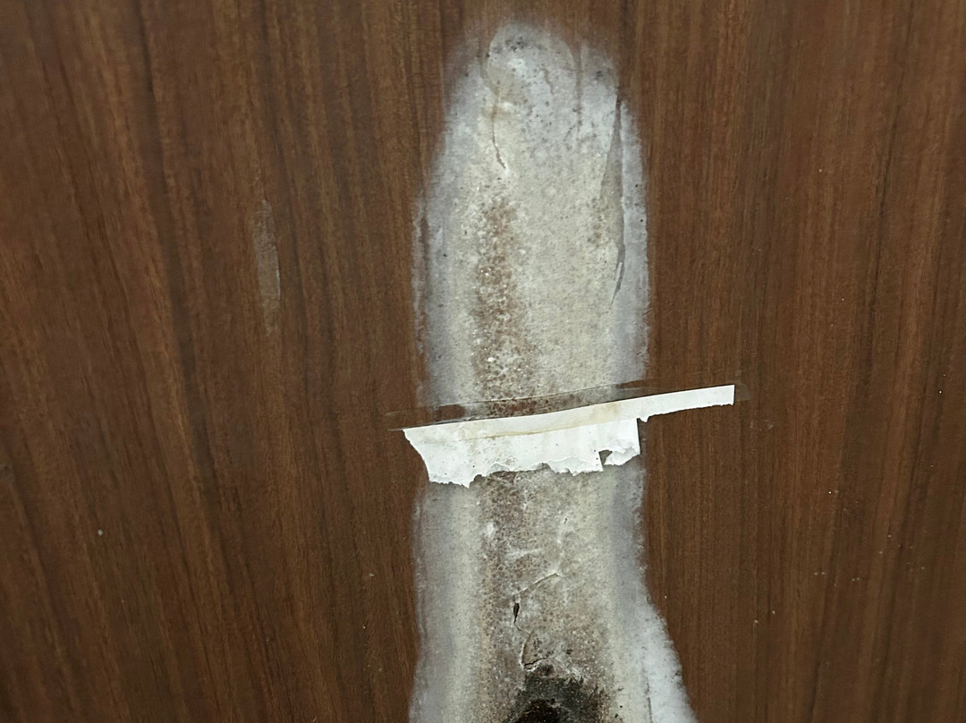 Hotel Sea Fans主图