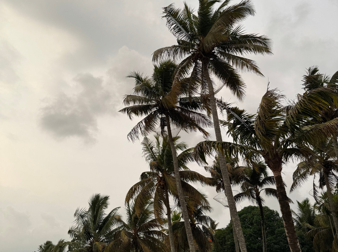 库玛拉孔湖畔度假村主图