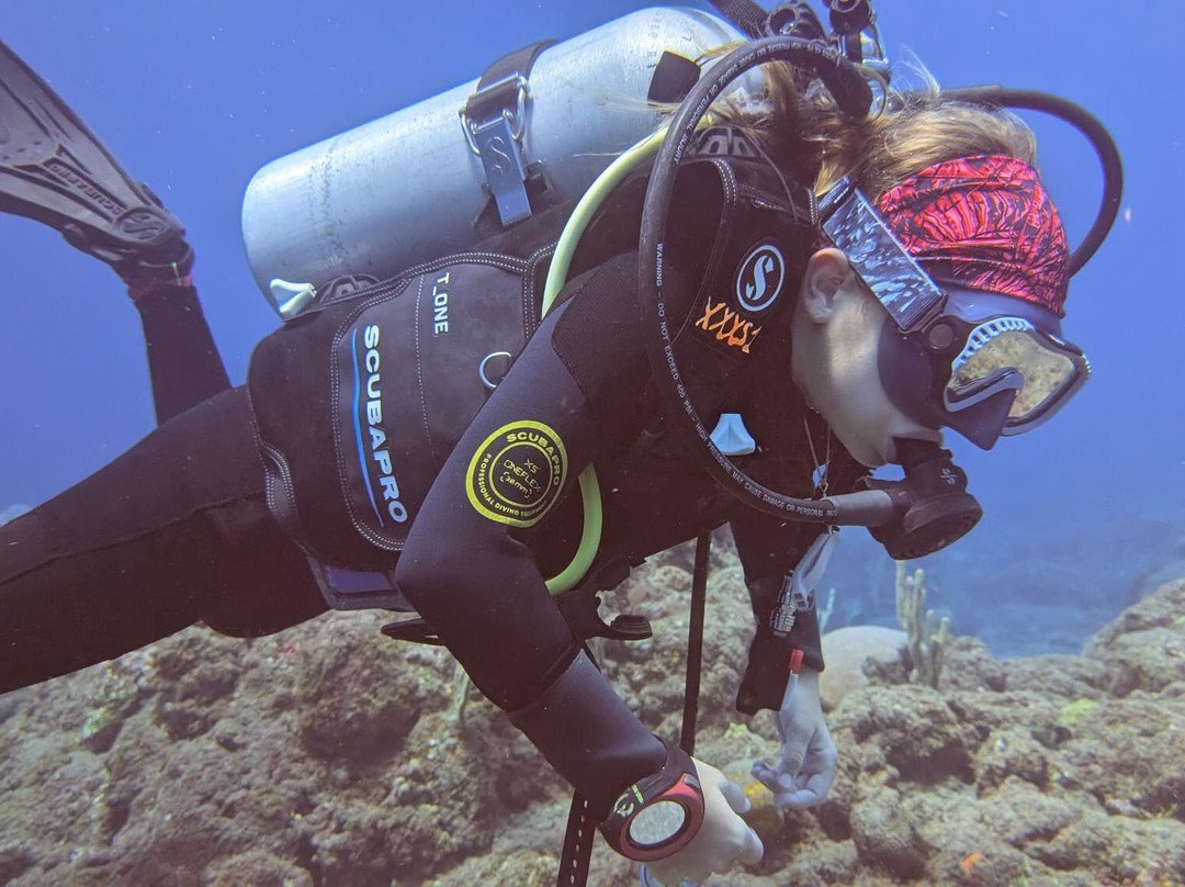 Sea Saba Dive Center-Windwardside必去景点