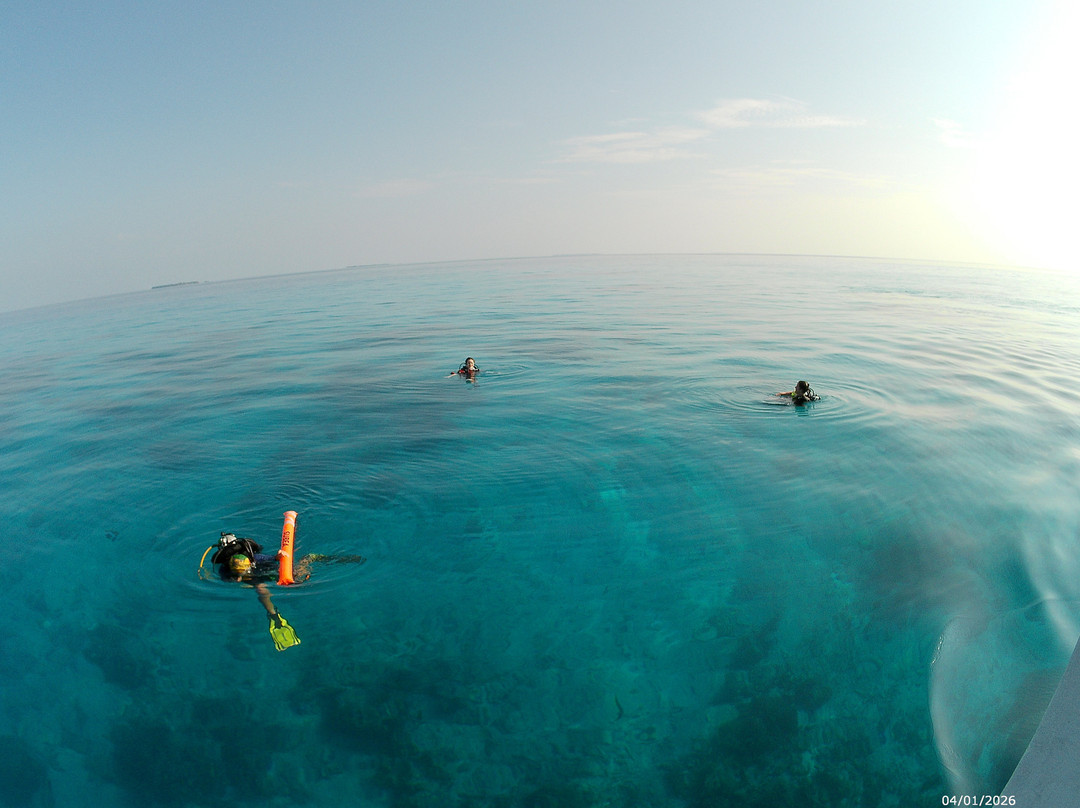 Filitheyo Dive Center-菲利兹优岛必去景点