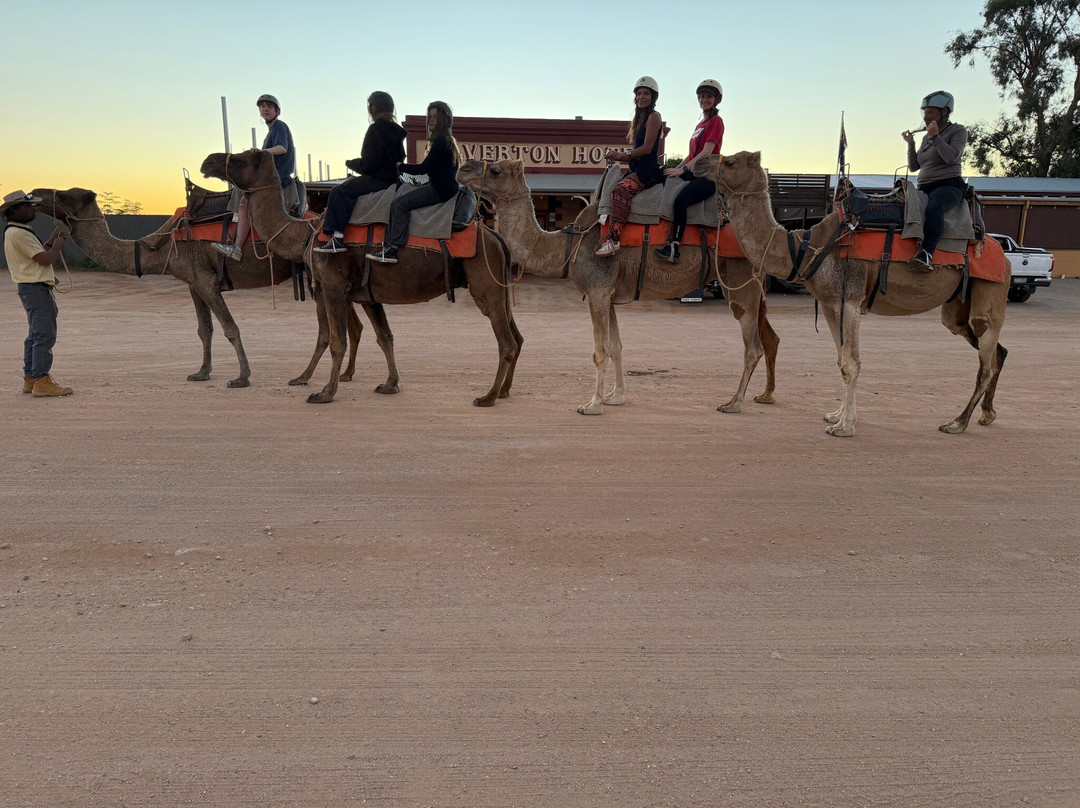 Silverton Outback Camels-Silverton必去景点