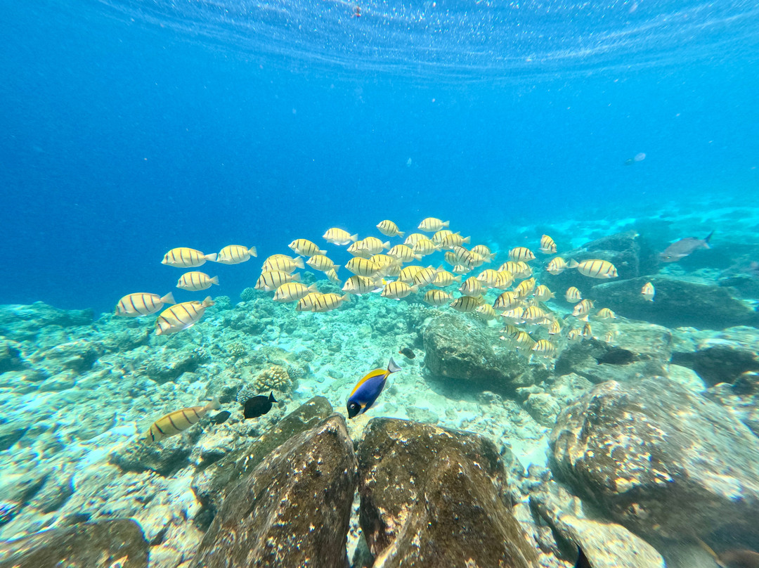Euro-Divers Niva Dhigali Maldives-Meedhoo必去景点