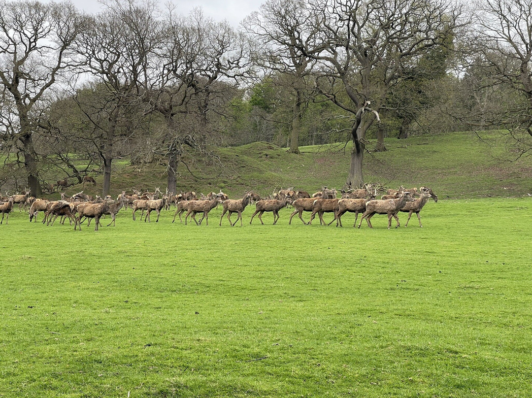 戈尔兹伯勒豪尔酒店主图