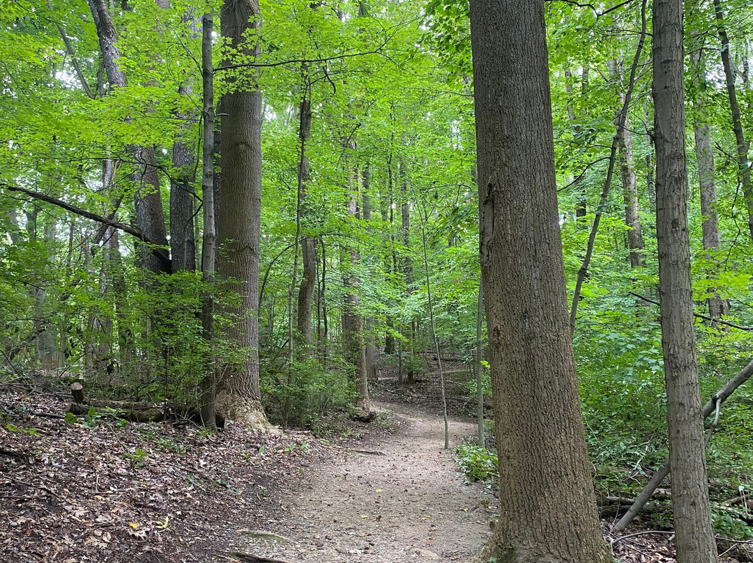 F.A. Seiberling Nature Realm-阿克伦必去景点
