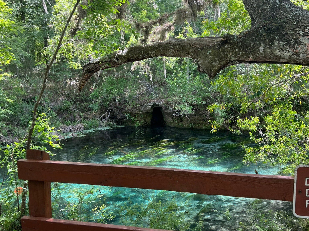 Ichetucknee Springs State Park-Fort White必去景点
