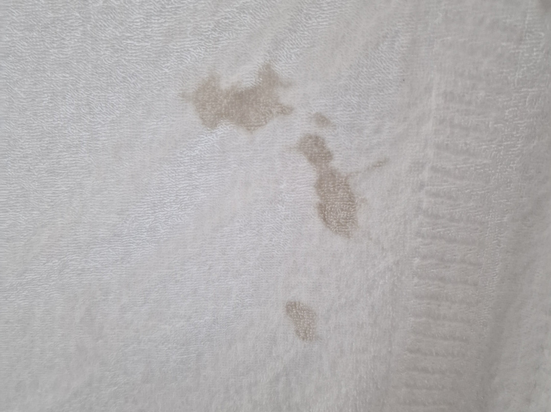 米尔顿凯因斯中心旅客之家酒店主图