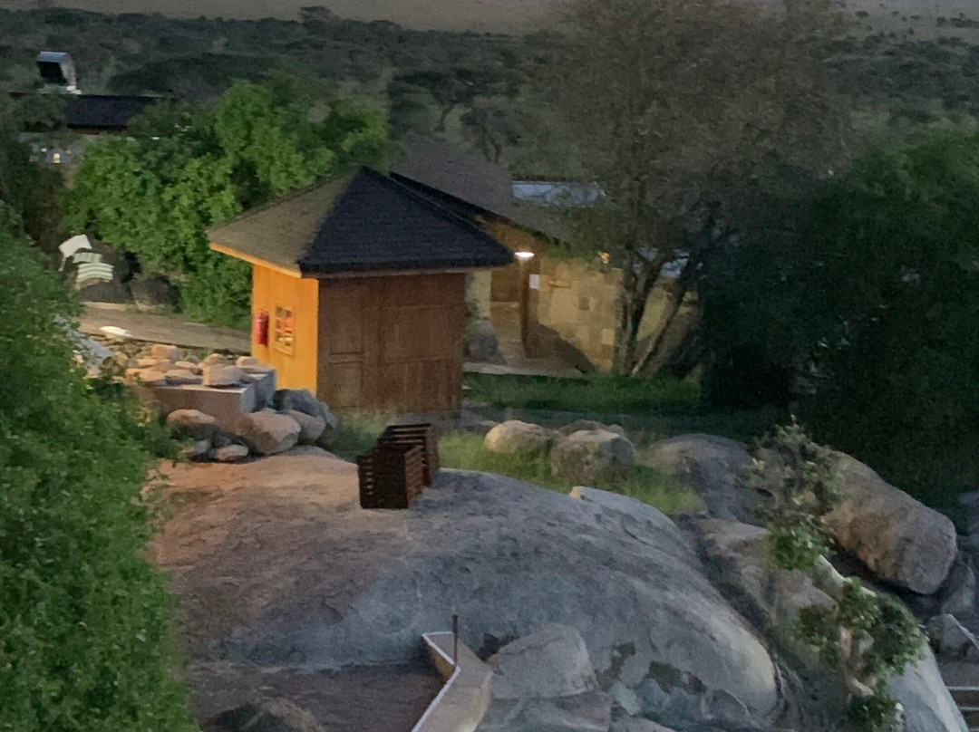 瑟洛尼拉野生旅馆主图