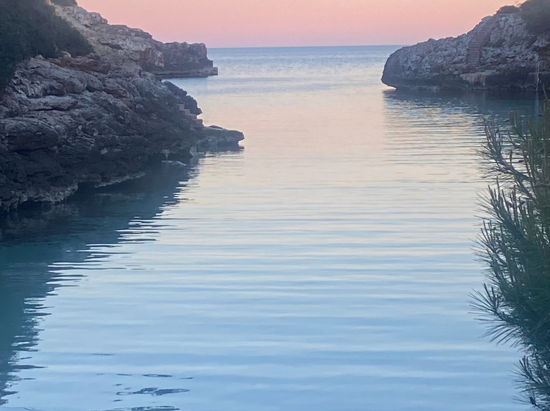 AluaSoul Mallorca Resort - Adults Only主图
