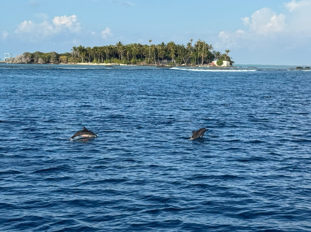 Sub Oceanic at Le Méridien Maldives Resort & Spa-Thilamaafushi必去景点
