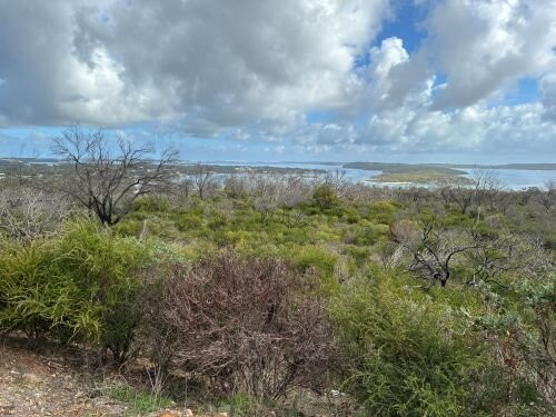 Coffin Bay Lookout-哥芬湾必去景点