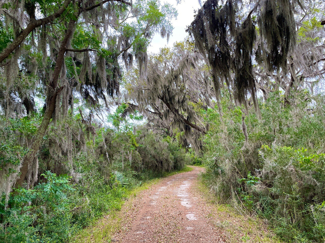 Savannah National Wildlife Refuge-Hardeeville必去景点