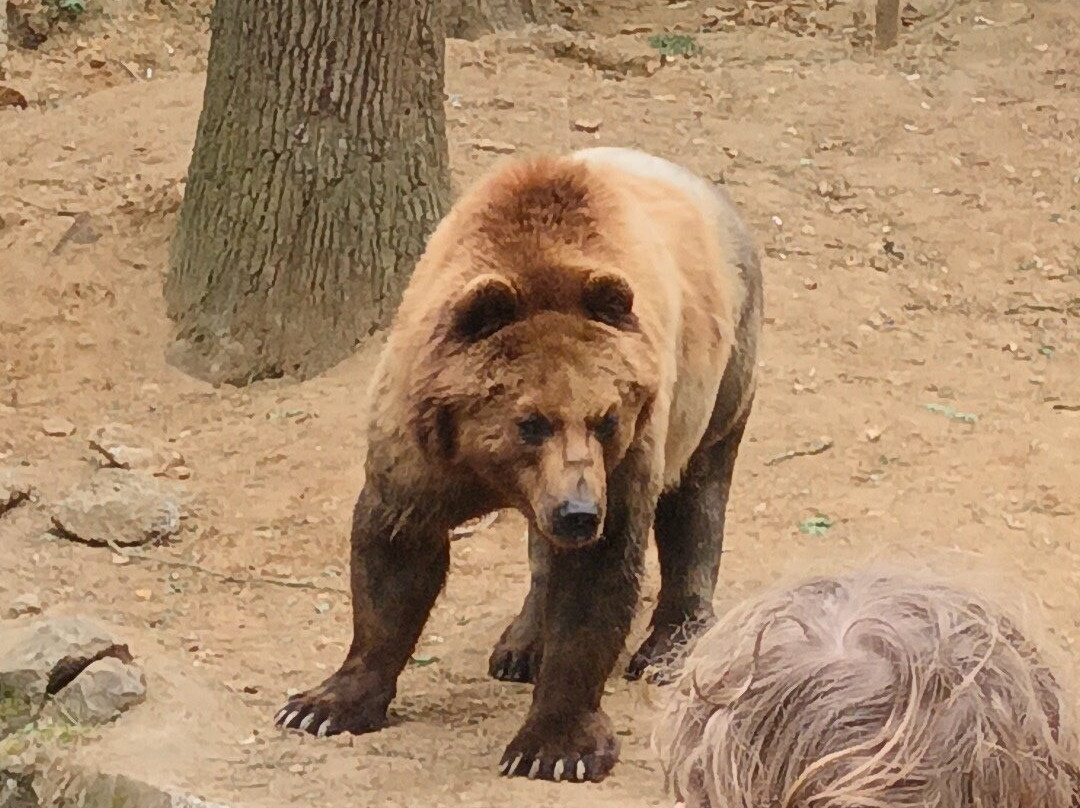 Zoo de La Fleche-La Fleche必去景点