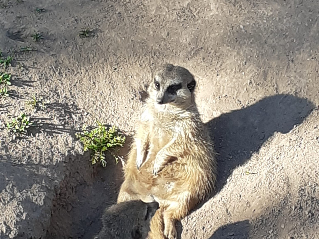 Zoo Leipzig-莱比锡必去景点