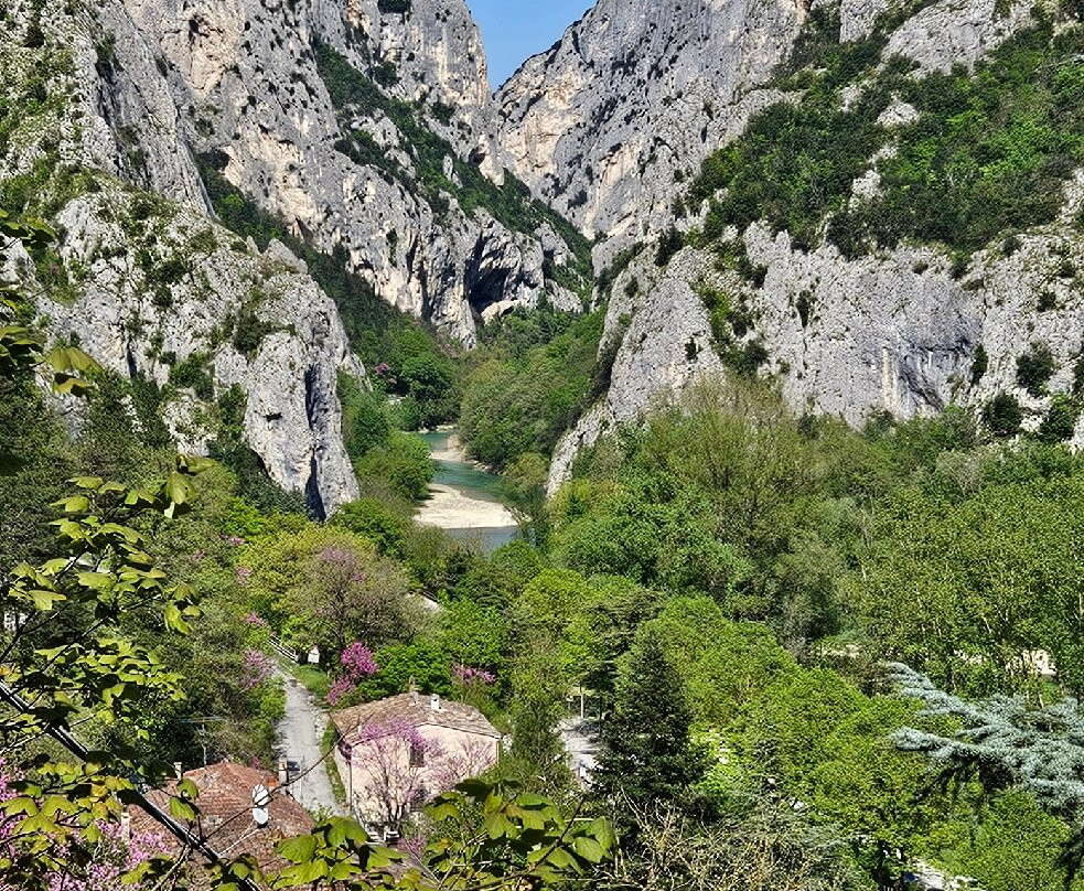 LA FORESTALE 豪华生态旅馆主图