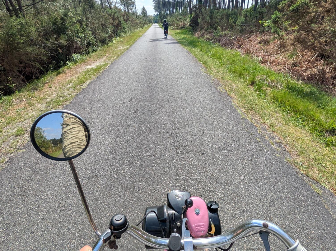 Jvds - J'veux Du Solex-Pontenx-les-Forges必去景点