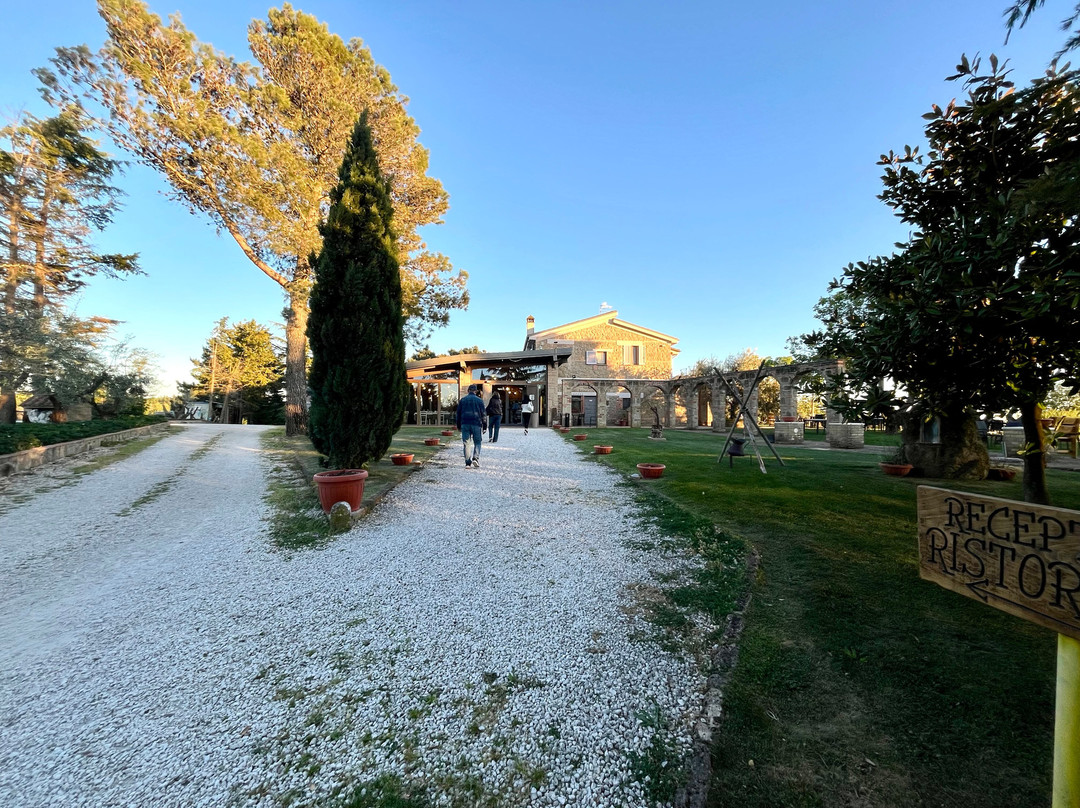 Agriturismo la Collina