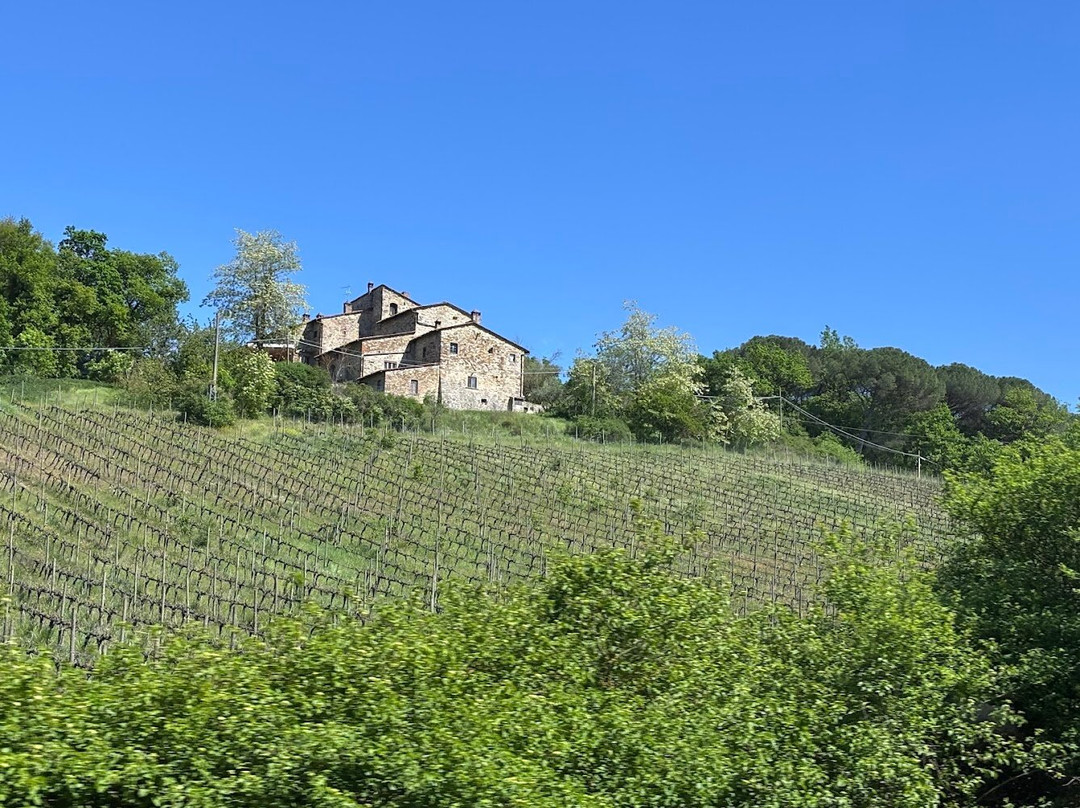 Poggio Amorelli-卡斯特利纳－因基安蒂必去景点