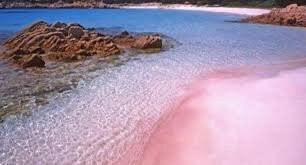 Spiaggia Rosa-Budelli必去景点