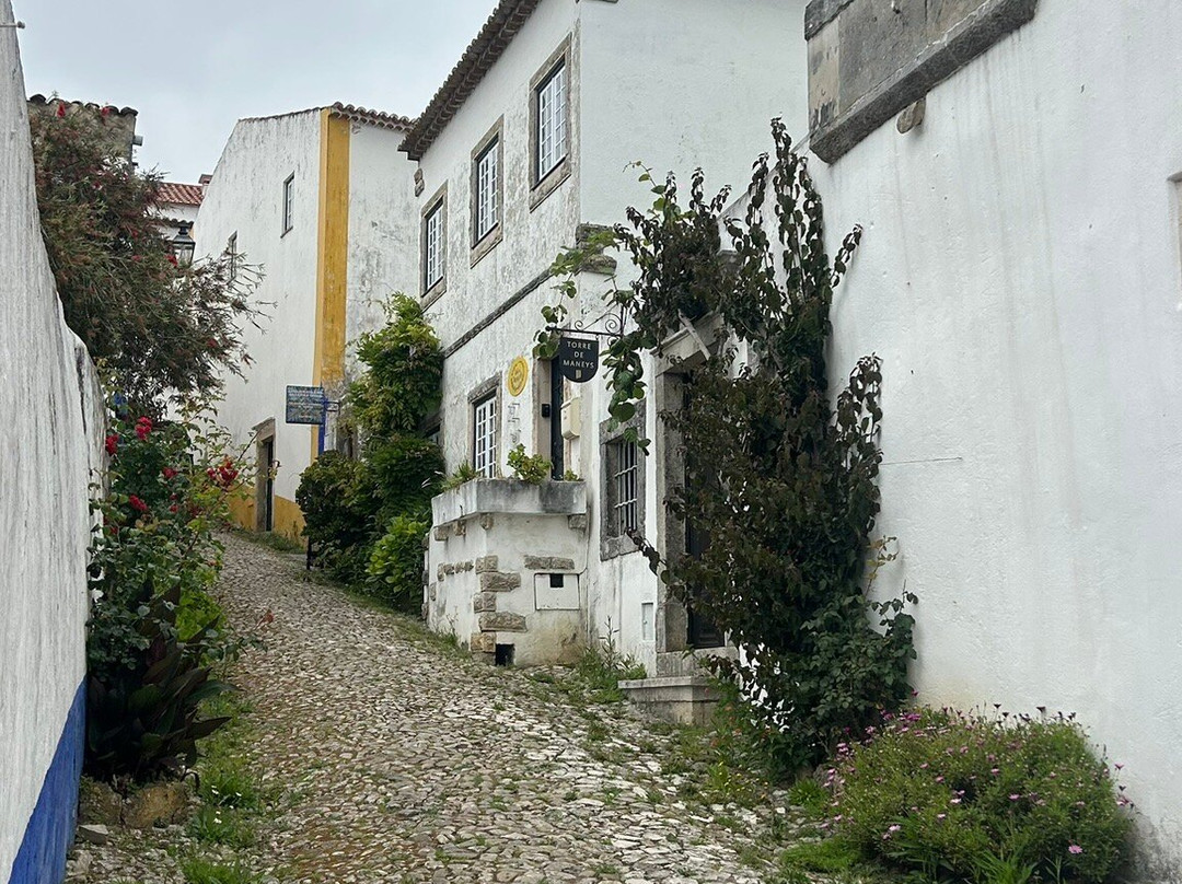 Castelo de Óbidos-奥比都斯必去景点