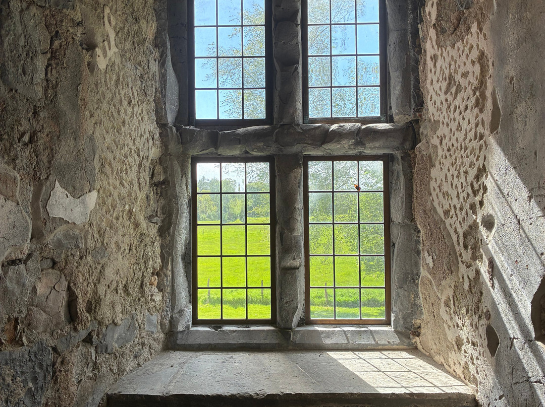 Birr Castle Demesne-Birr必去景点