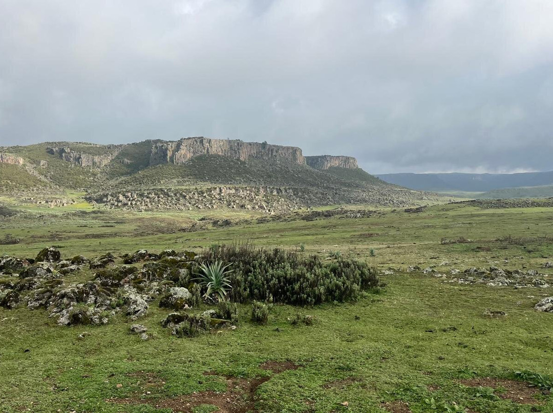 Bale Mountains Brilliant Tours-Goba必去景点