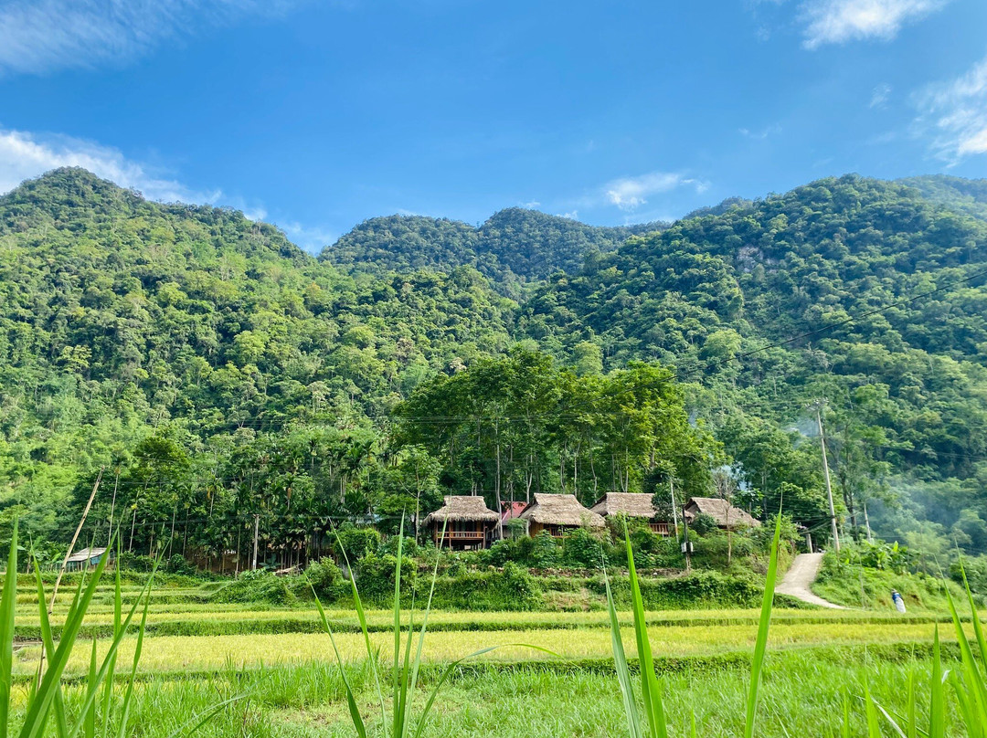 Pù Luông Jungle King Homestay