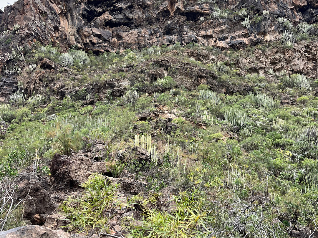 Barranco Del Infierno-奥德杰海岸必去景点