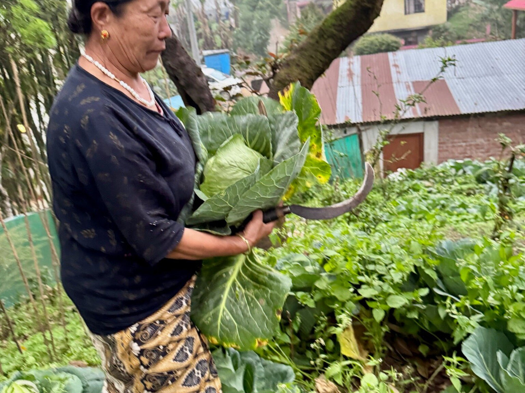Adventure Lover's Sikkim-甘托克必去景点