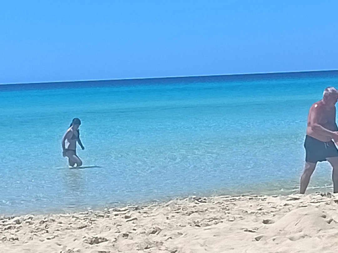 Platja Des Arenals-福门特拉岛必去景点