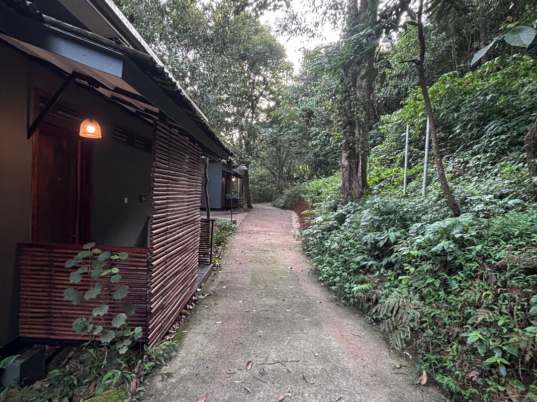 瓦亚纳德野外雨林旅馆-CGH地球酒店主图