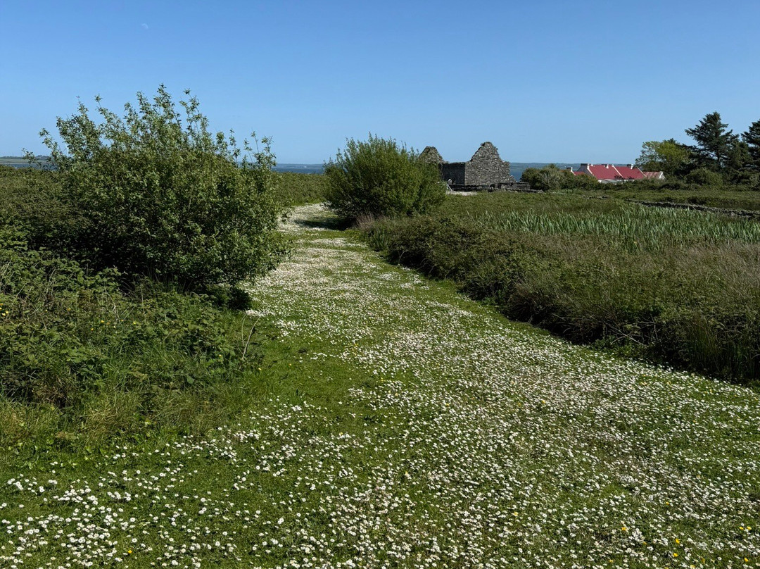 Scattery Island-Kilrush必去景点