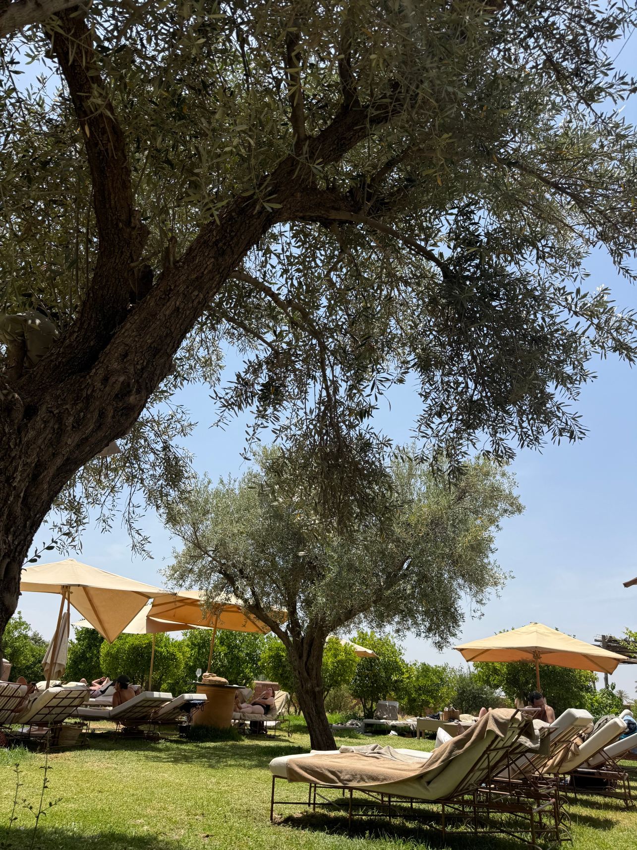 Villa Nour-旅行者