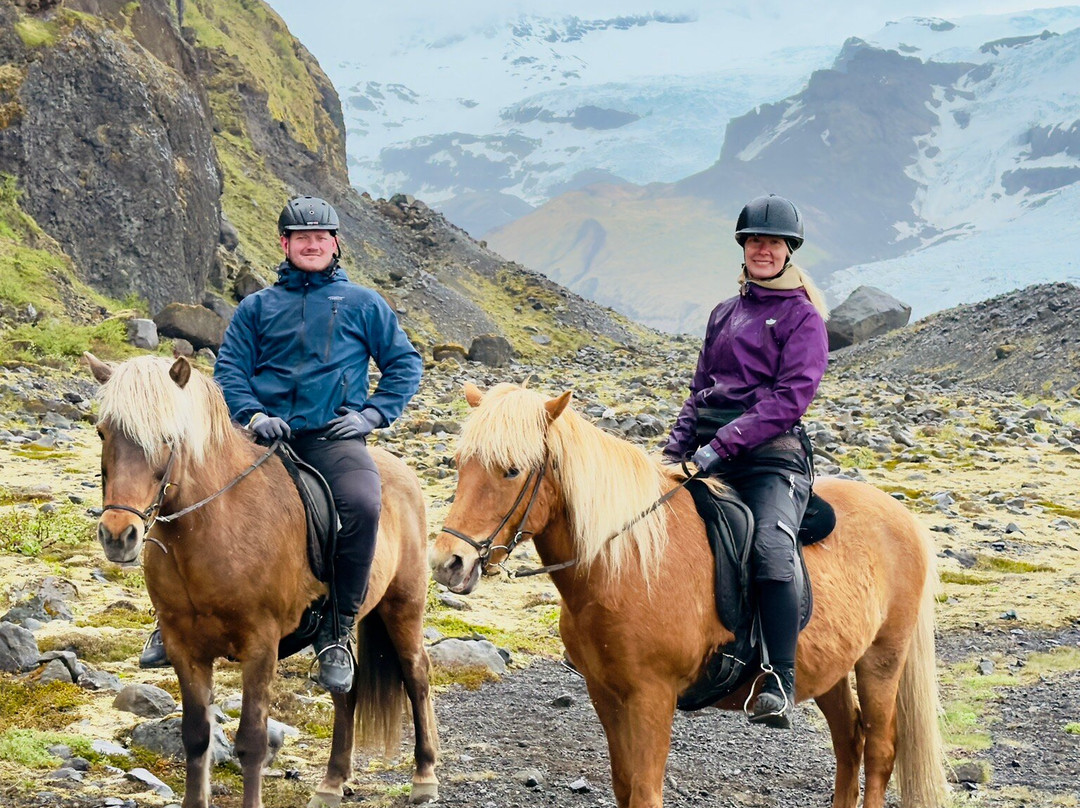 Glacier Horses-Svinafell必去景点