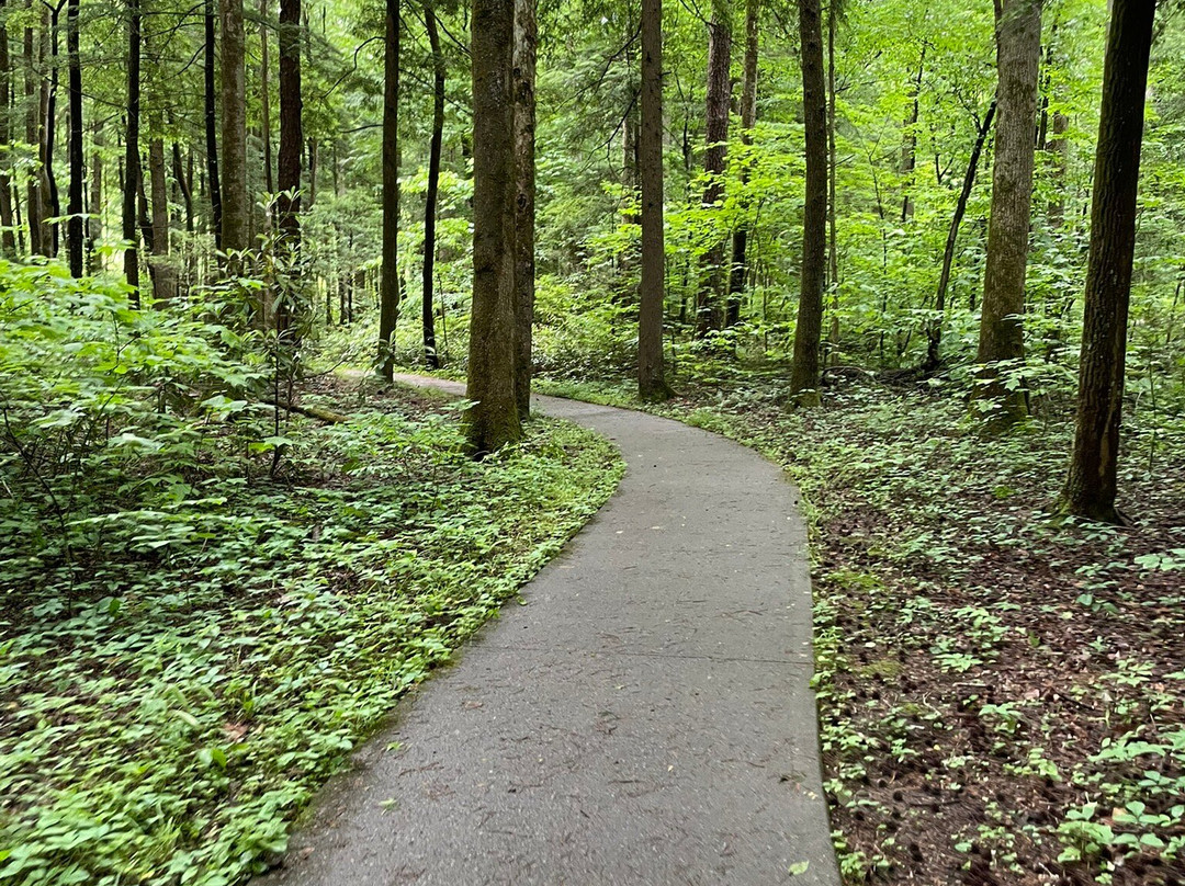 Sugarlands Valley Nature Trail-大雾山国家公园必去景点