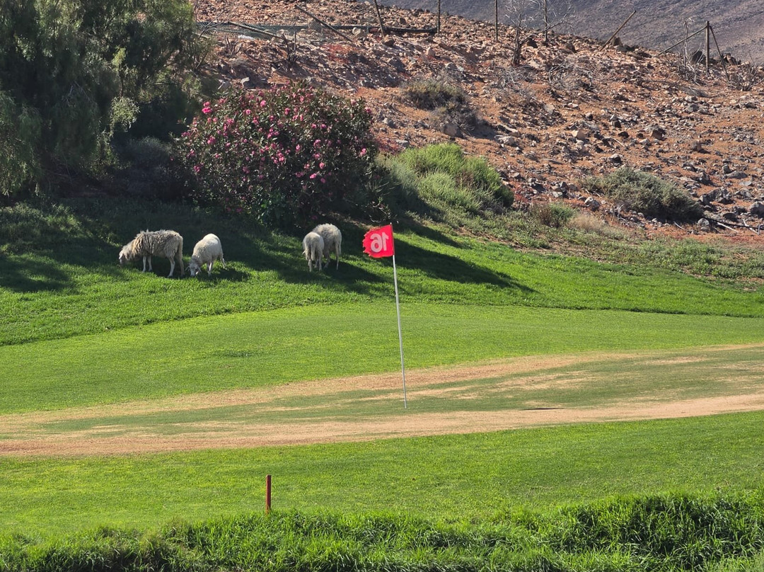 Jandia Golf Course-Morro del Jable必去景点
