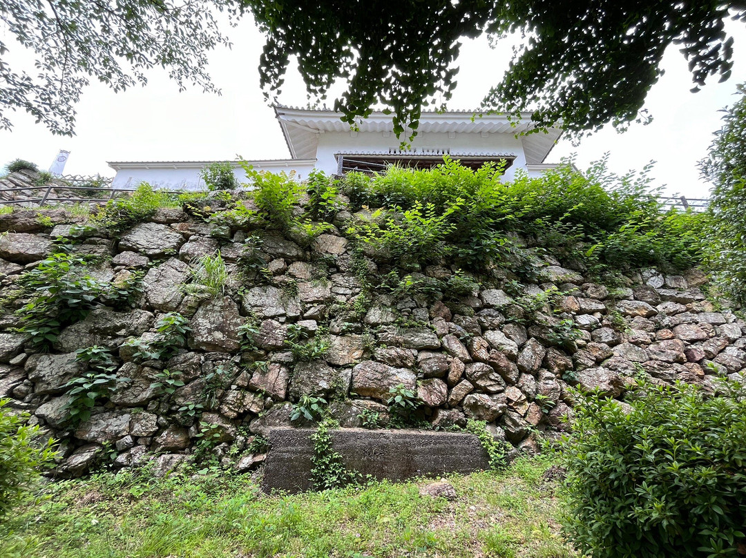 Hamamatsu Castle-滨松市必去景点