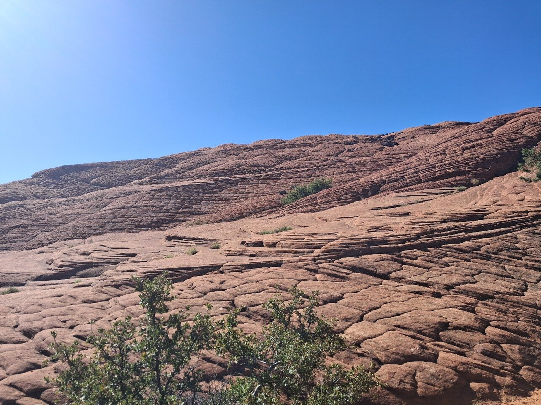 Snow Canyon State Park-犹他州必去景点