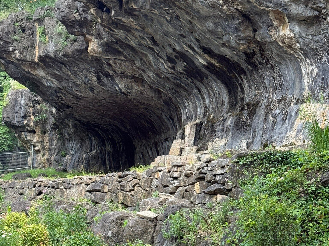 Blue Spring Heritage Center-尤里卡斯普林斯必去景点
