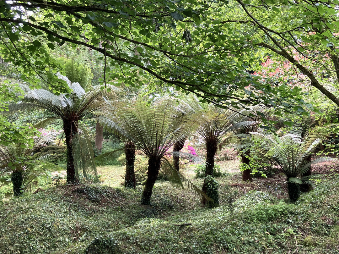Bonython Estate Gardens-赫尔斯顿必去景点