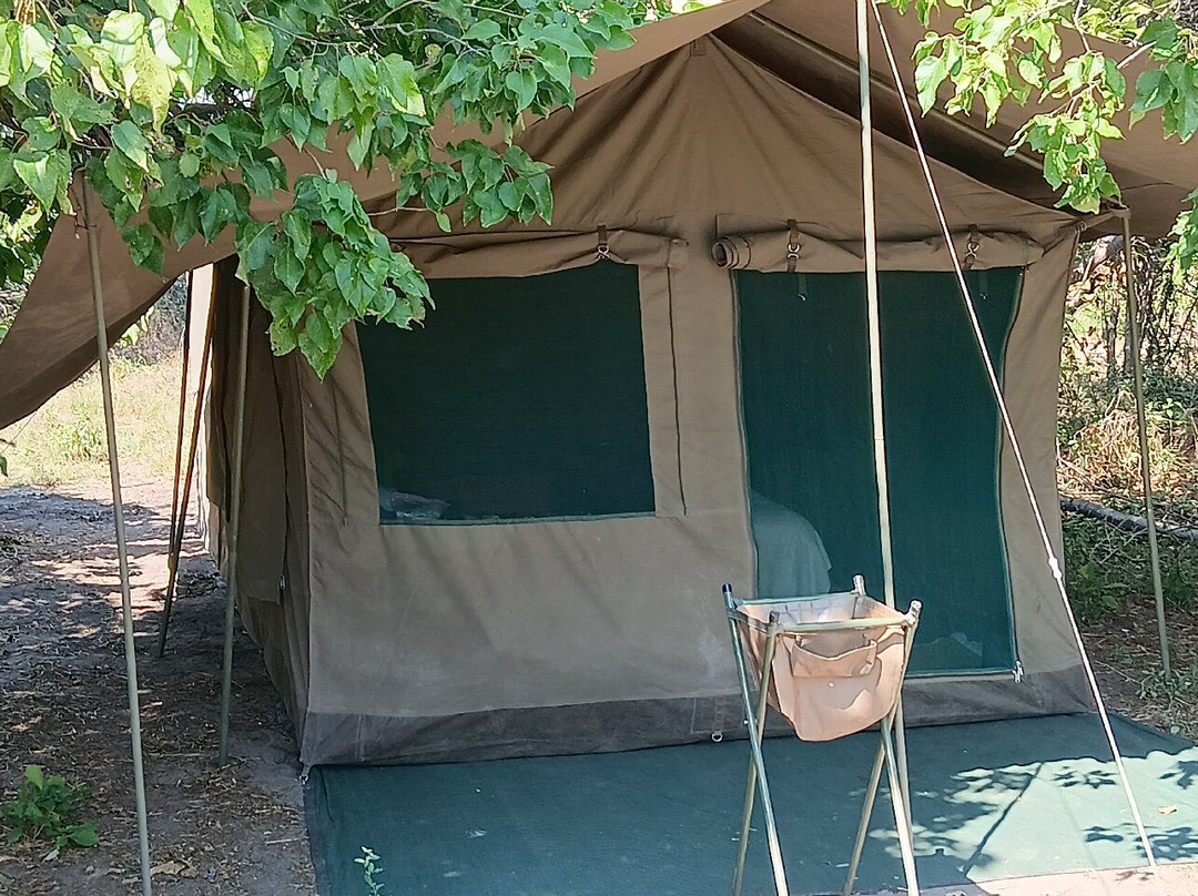 Absolute Zambia Safaris-卢萨卡必去景点