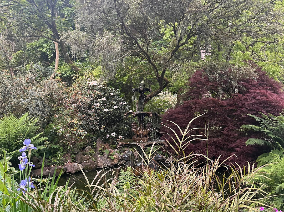Pinetum Gardens主图