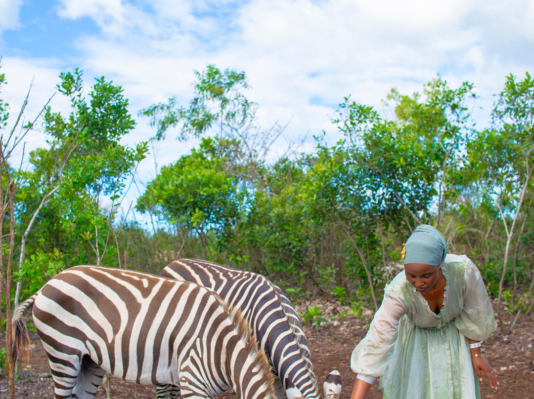 Zakir Wildlife and Resort-帕杰必去景点