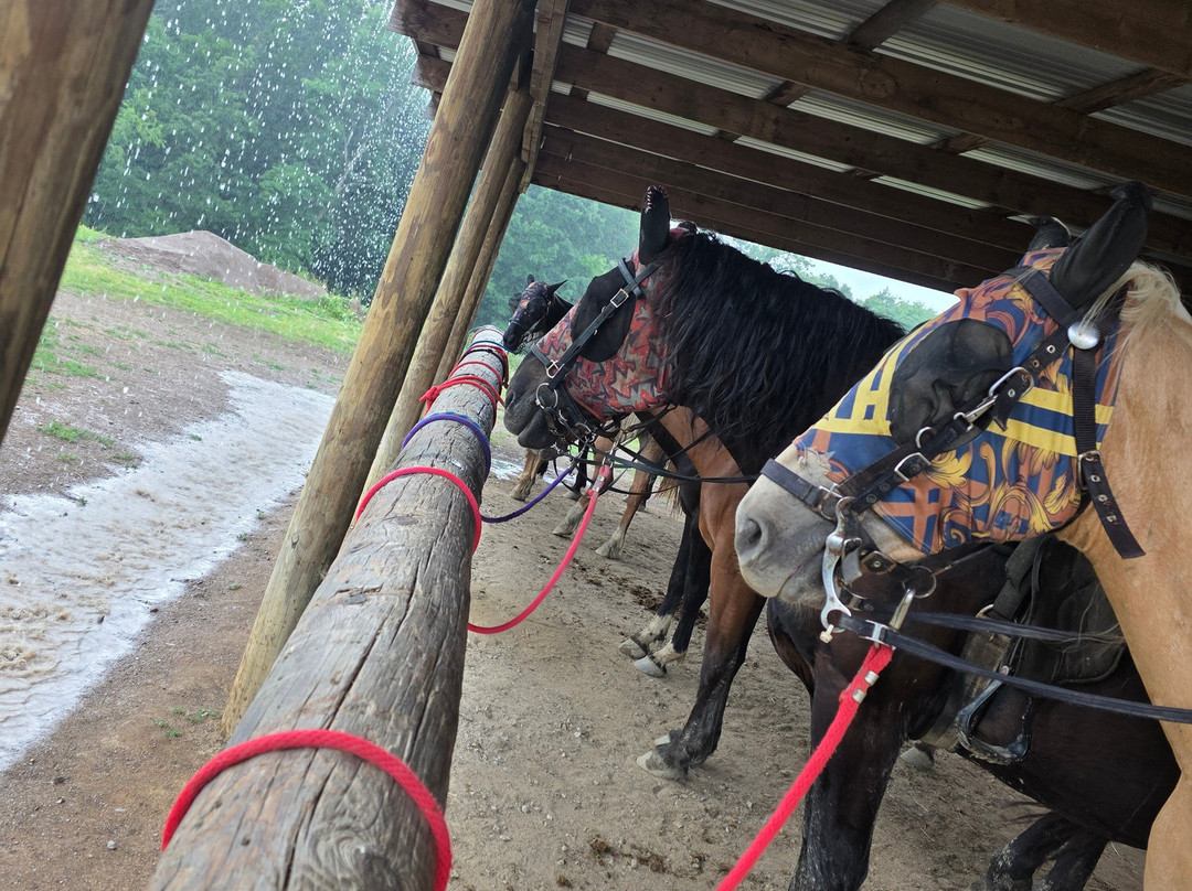 Uncle Buck's Riding Stable-New Marshfield必去景点