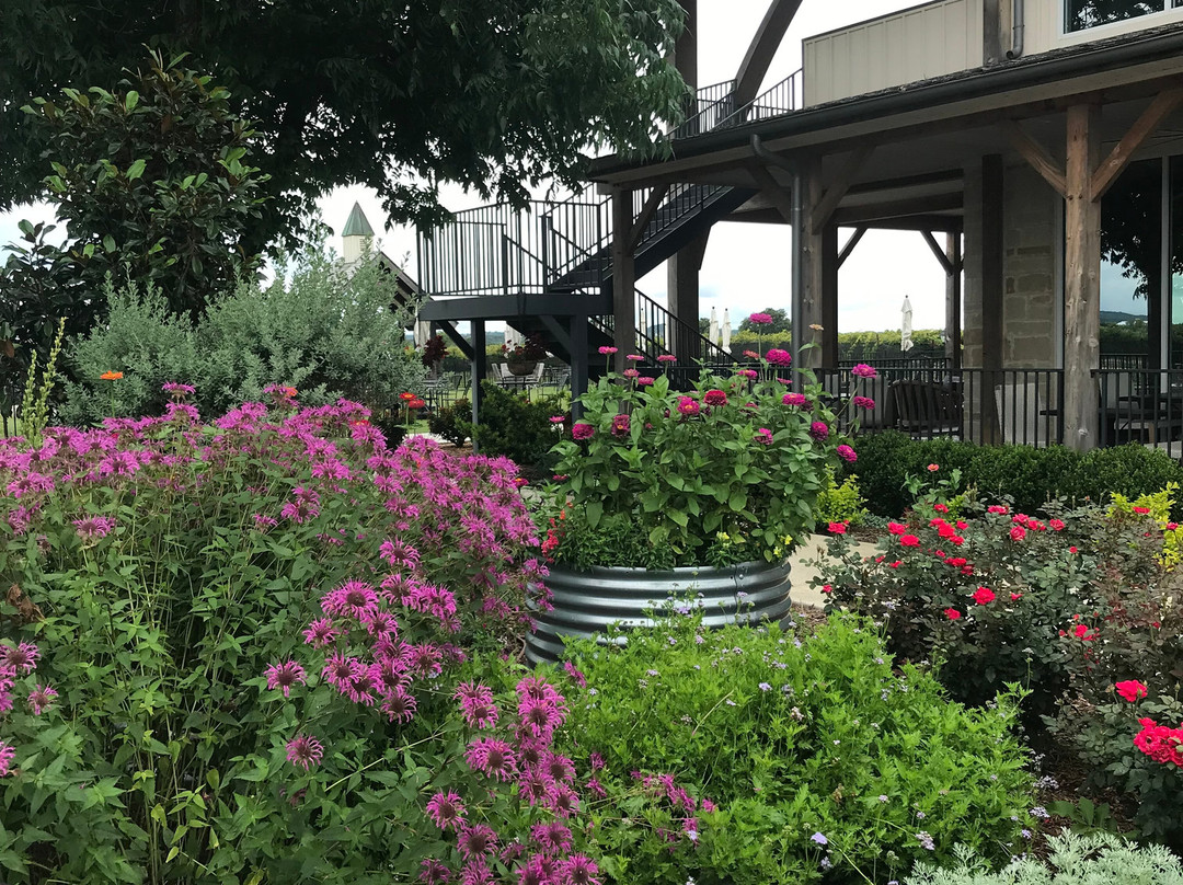 Augusta Vin Winery-弗雷德里克斯堡必去景点