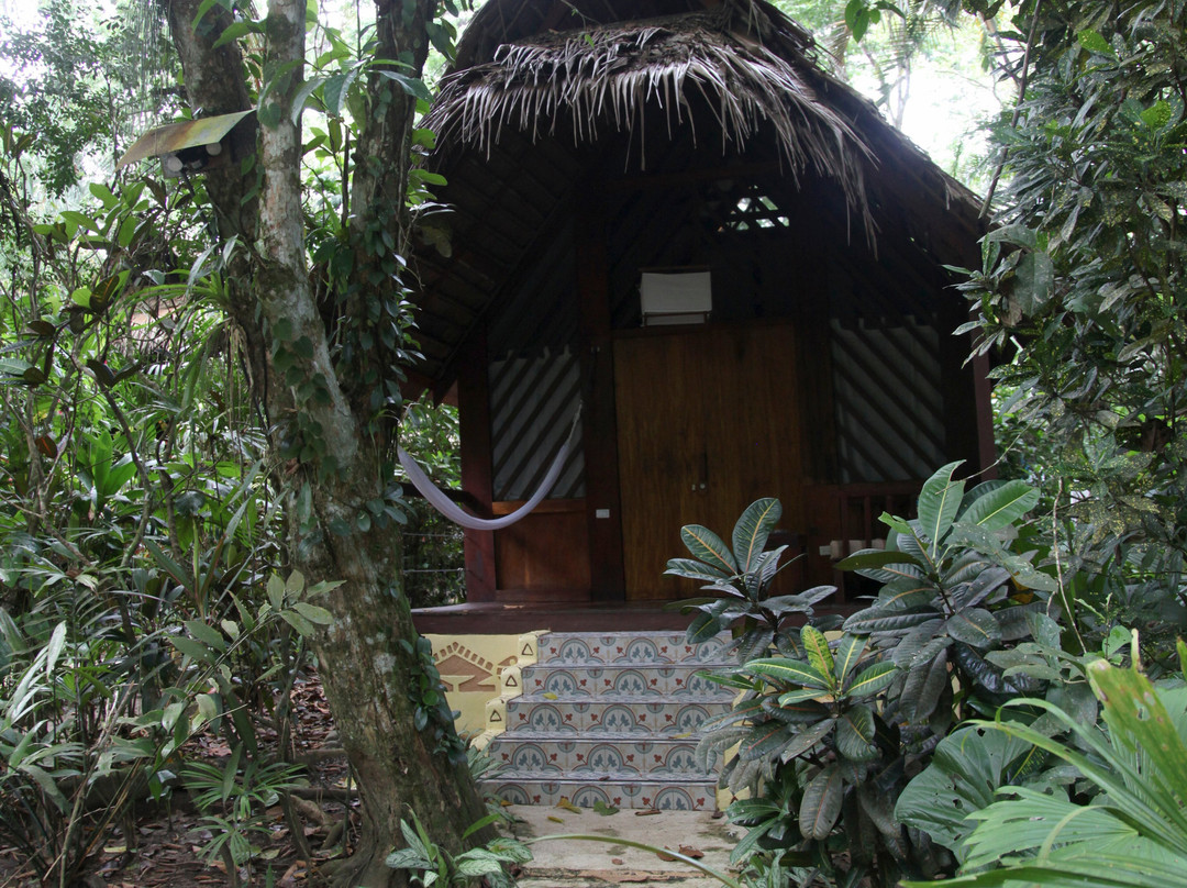 肖万达山林小屋主图