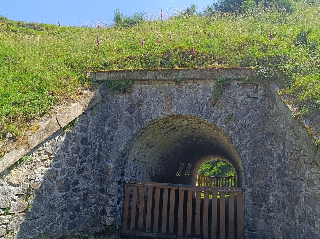 Fort du Parmont-Remiremont必去景点