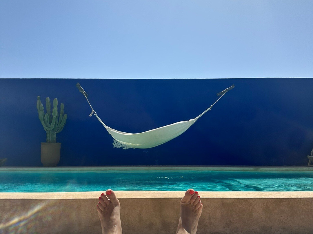 Riad Baoussala主图