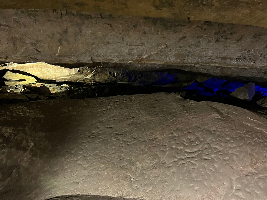 Seneca Caverns-Bellevue必去景点